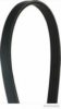 MAGNETI MARELLI 600000000840 V-Ribbed Belts